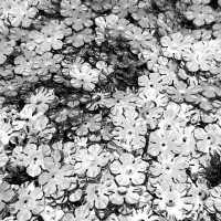 flitre kovový lesk strieborné 403